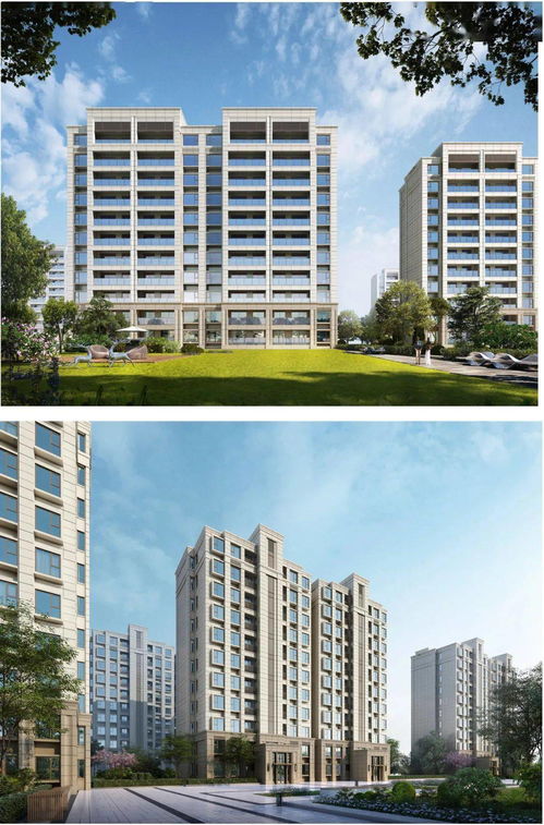 太倉城區新盤即將面世，規劃13幢住宅產品，策劃代理細節曝光